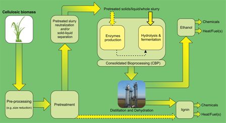 Recent updates on lignocellulosic biomass derived ethanol - A review 