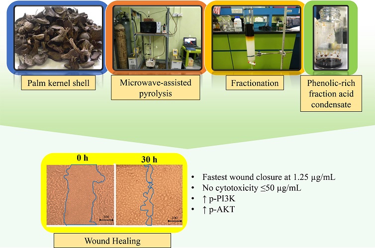 Beyond conventional biomass valorisation: pyrolysis-derived products for biomedical applications 
