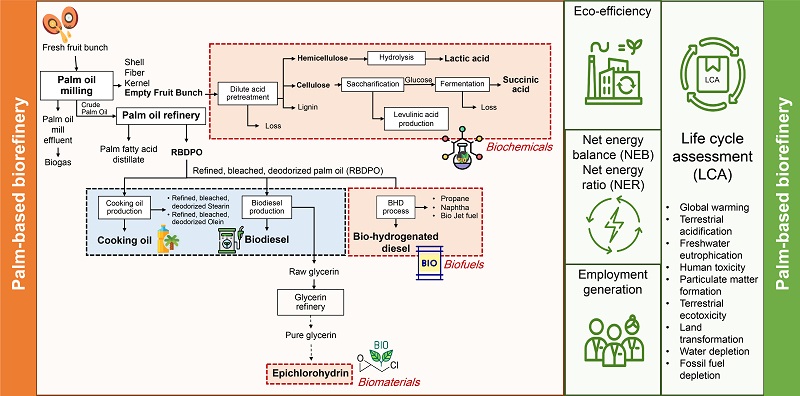 Sustainability assessment of palm oil-based refinery systems for food, fuel, and chemicals 