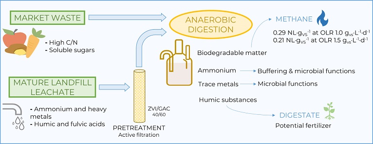 Boosting the circularity of waste management: pretreated mature landfill leachate enhances the anaerobic digestion of market waste 