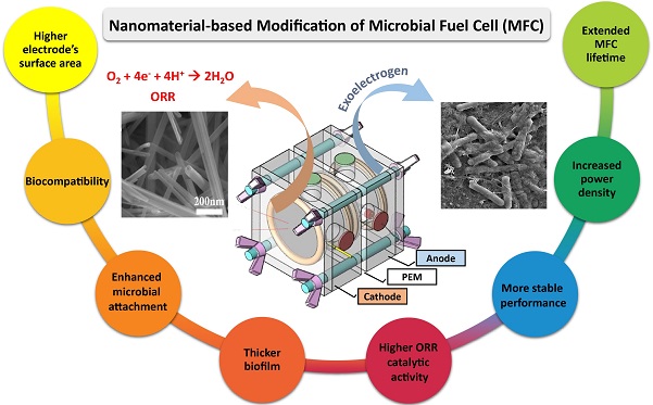A review on the application of nanomaterials in improving microbial fuel cells 