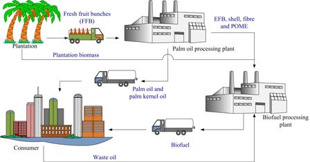 Advances in biofuel production from oil palm and palm oil processing wastes: A review 