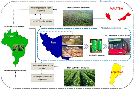 Attributional and consequential environmental assessment of using waste cooking oil- and poultry fat-based biodiesel blends in urban buses: a real-world operation condition study 