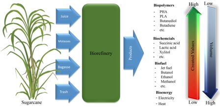 Recent trends on techno-economic assessment (TEA) of sugarcane biorefineries 