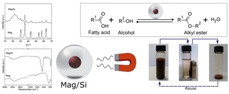 Magnetically recyclable nanocatalysts based on magnetite: an environmentally friendly and recyclable catalyst for esterification reactions 