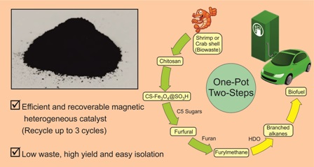 Novel synthesis of Lewis and Bronsted acid sites incorporated CS-Fe<i>3</i>O<i>4</i>@SO<i>3</i>H catalyst and its application in one-pot synthesis of tri(furyl)methane under aqueous media 