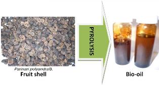 Pyrolysis of Parinari polyandra Benth fruit shell for bio-oil production 