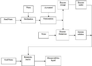 Glucoamylase production from food waste by solid state fermentation and its evaluation in the hydrolysis of domestic food waste 