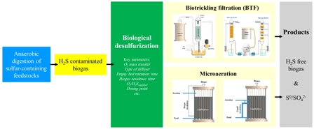 A review on prospects and challenges of biological H<sub>2</sub>S removal from biogas with focus on biotrickling filtration and microaerobic desulfurization 