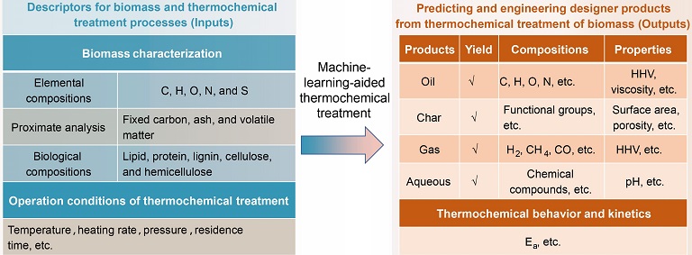 Machine-learning-aided thermochemical treatment of biomass: a review 