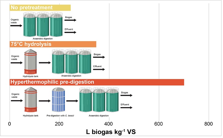 Enhancing waste degradation and biogas production by pre-digestion with a hyperthermophilic anaerobic bacterium 