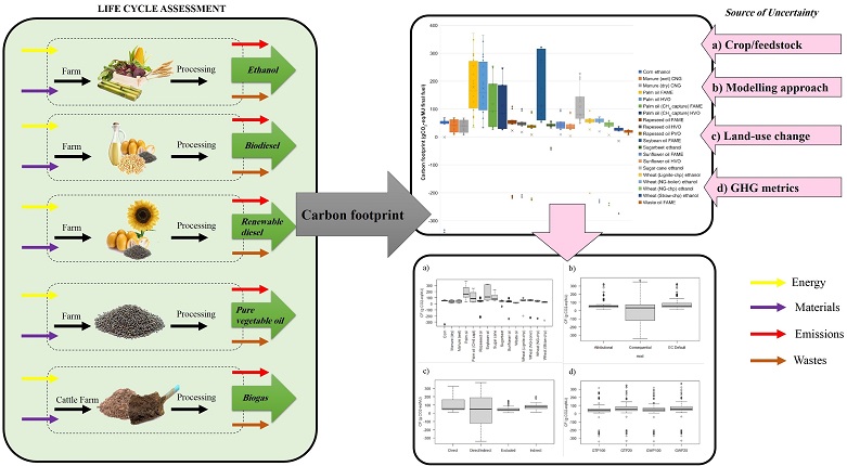 On quantifying sources of uncertainty in the carbon footprint of biofuels: crop/feedstock, LCA modelling approach, land-use change, and GHG metrics 