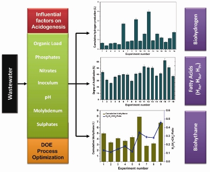 Deciphering acidogenic process towards biohydrogen, biohythane, and short chain fatty acids production: multi-output optimization strategy 
