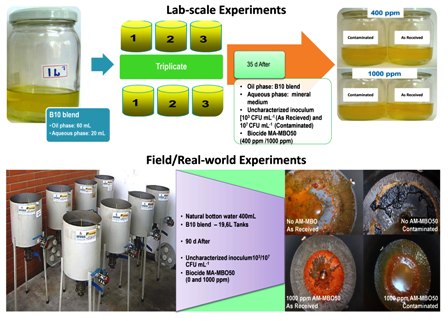 Biodiesel blend (B10) treated with a multifunctional additive (biocide) under simulated stored conditions: a field and lab scale monitoring 