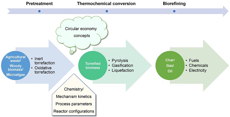 Oxidative torrefaction and torrefaction-based biorefining of biomass: a critical review 