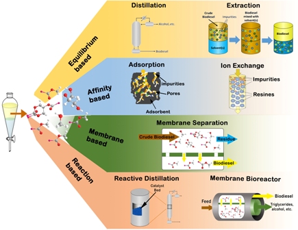 A comprehensive review on biodiesel purification and upgrading 