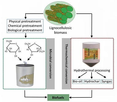 Pretreatment methods for lignocellulosic biofuels production: current advances, challenges and future prospects 