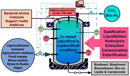 Applications of subcritical and supercritical water conditions for extraction, hydrolysis, gasification, and carbonization of biomass: a critical review 