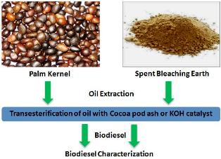Production and characterization of biodiesel using palm kernel oil; fresh and recovered from spent bleaching earth 