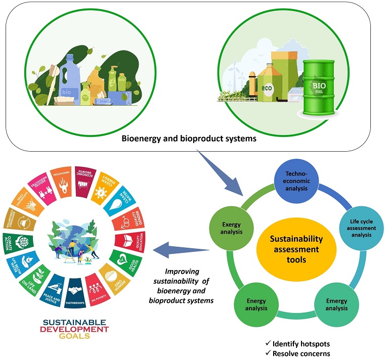 The role of sustainability assessment tools in realizing bioenergy and bioproduct systems 