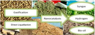 A review on conversion of biomass to biofuel by nanocatalysts 