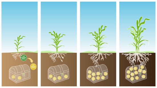 Soil and root carbon storage is key to climate benefits of bioenergy crops 