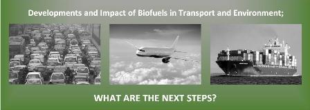 A closer look at the developments and impact of biofuels in transport and environment; what are the next steps? 