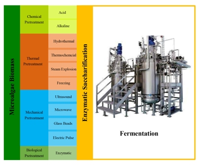 Microalgal biomass pretreatment for bioethanol production: a review 