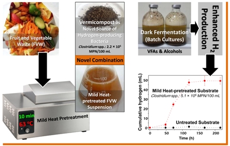 Fermentative biohydrogen production from a novel combination of vermicompost as inoculum and mild heat-pretreated fruit and vegetable waste 