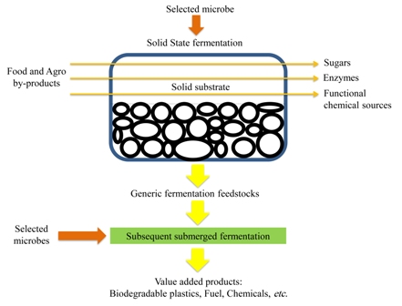 Modern microbial solid state fermentation technology for future biorefineries for the production of added-value products 