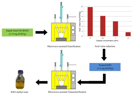 Microwave-assisted methyl esters synthesis of Kapok (Ceiba pentandra) seed oil: parametric and optimization study 