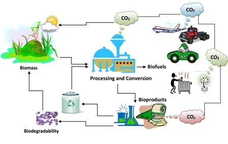 Key issues in estimating energy and greenhouse gas savings of biofuels: challenges and perspectives 