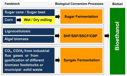 A review of conversion processes for bioethanol production with a focus on syngas fermentation 