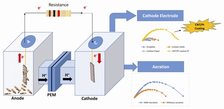 Effect of various carbon-based cathode electrodes on the performance of microbial fuel cell 