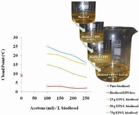 Improvement of the cold flow characteristics of biodiesel containing dissolved polymer wastes using acetone 