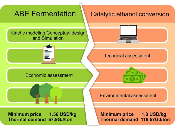 Comparison of acetone–butanol–ethanol fermentation and ethanol catalytic upgrading as pathways for butanol production: A techno-economic and environmental assessment 