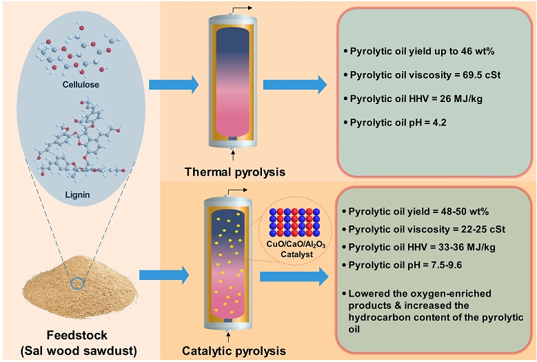 Pyrolysis of low-value waste sawdust over low-cost catalysts: physicochemical characterization of pyrolytic oil and value-added biochar 