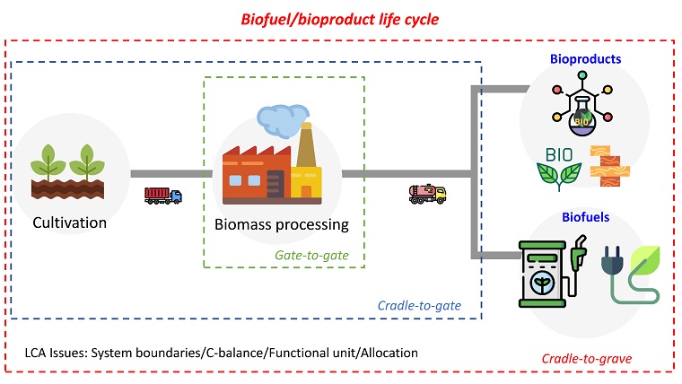 Life cycle assessment for sustainability assessment of biofuels and bioproducts 