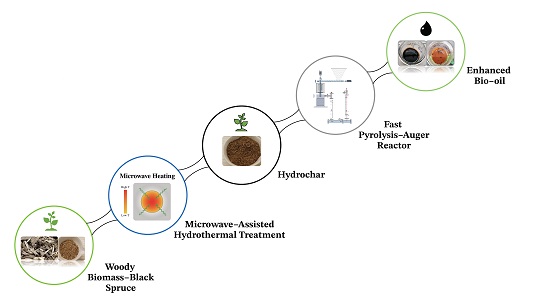Optimization of microwave-assisted hydrothermal pretreatment and its effect on pyrolytic oil quality obtained by an auger reactor 
