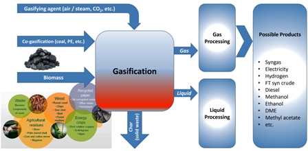 A critical review on biomass gasification, co-gasification, and their environmental assessments 