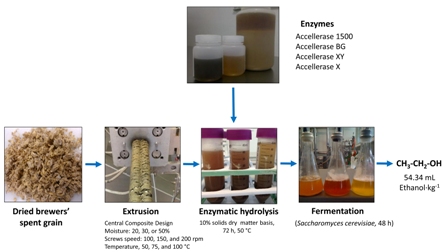 Effect of extrusion conditions and hydrolysis with fiber-degrading enzymes on the production of C5 and C6 sugars from brewers’ spent grain for bioethanol production 