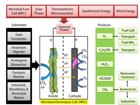 Biorefinery perspectives of microbial electrolysis cells (MECs) for hydrogen and valuable chemicals production through wastewater treatment 