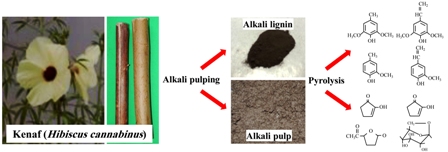 Pyrolysis characteristic of kenaf studied with separated tissues, alkali pulp, and alkali li 