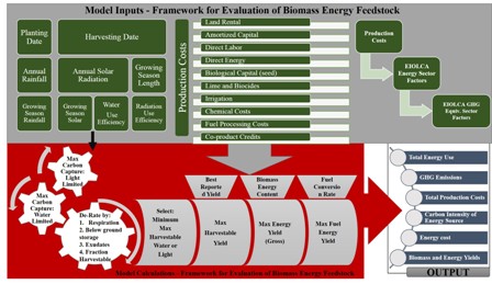 First-order estimates of the costs, input-output energy analysis, and energy returns on investment of conventional and emerging biofuels feedstocks 