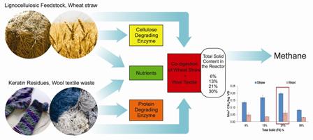 Dry anaerobic digestion of lignocellulosic and protein residues 