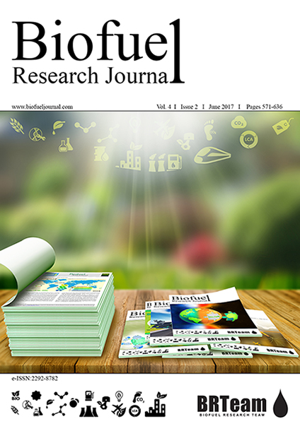 Biofuel Research Journal: a story of continuing success