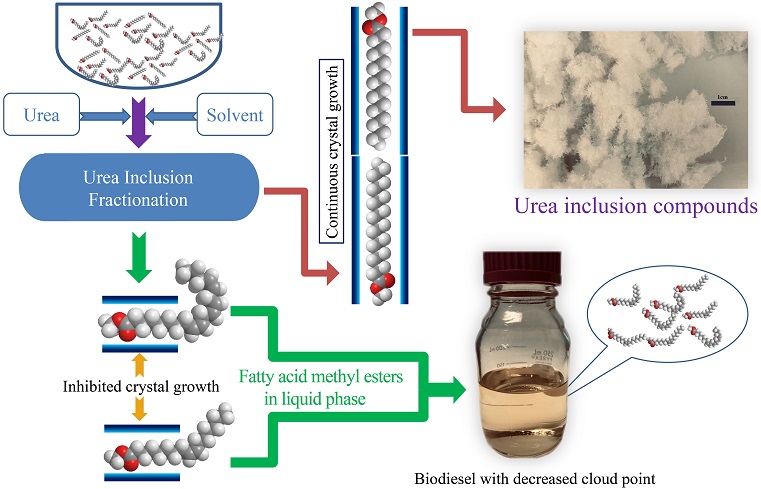 Fractionation of fatty acid methyl esters <i>via</i> urea inclusion and its application to improve the low-temperature performance of biodiesel 